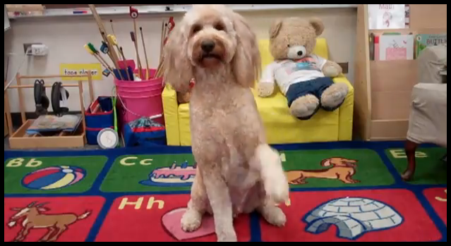 "G-I-B-B-S" // Gibbs the Theradoodle Theme Song!